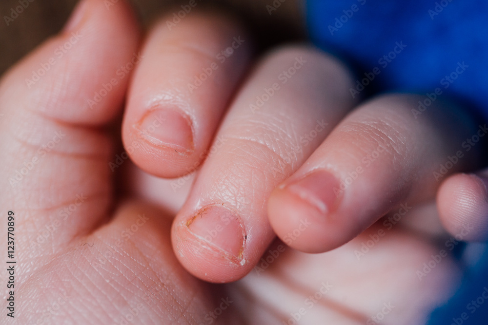 Close up detail of caucasian older baby or younger toddler's fingers and hand Close up detail of caucasian older baby or younger toddler's fingers and hand