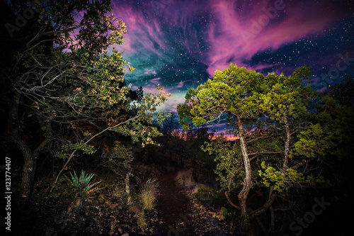 Hiking at night. Lost Mine Trail, Big Bend