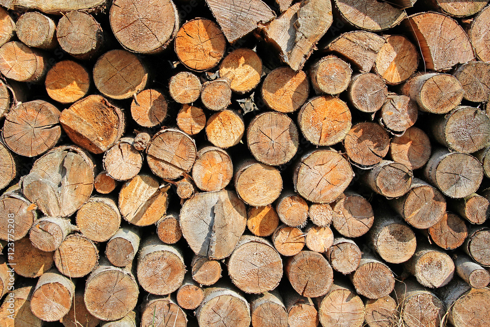 Holzstapel, Brennholz, Hintergrund Holzstapel, Brennholz, Hintergrund