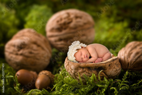 Baby sleeping in walnut photo