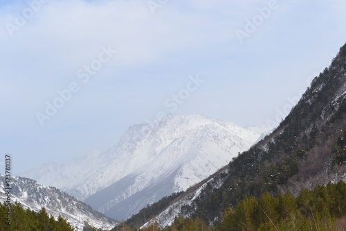 Beautiful winter landscape with mountains and silhouettes of the trees.