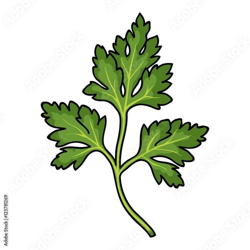 Parsley icon in cartoon style isolated on white background. Herb an spices symbol stock vector illustration.