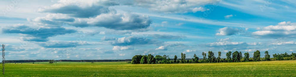 Fototapeta premium Beautiful landscape field of green grass on a background cloudy