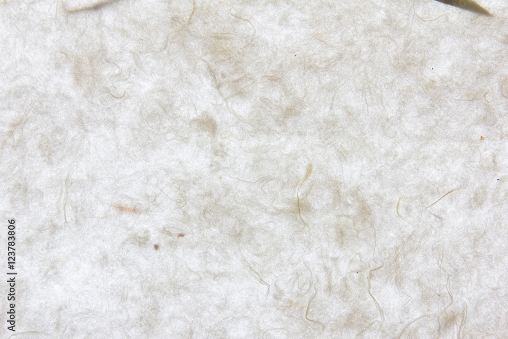 White mulberry paper texture background White mulberry paper texture background