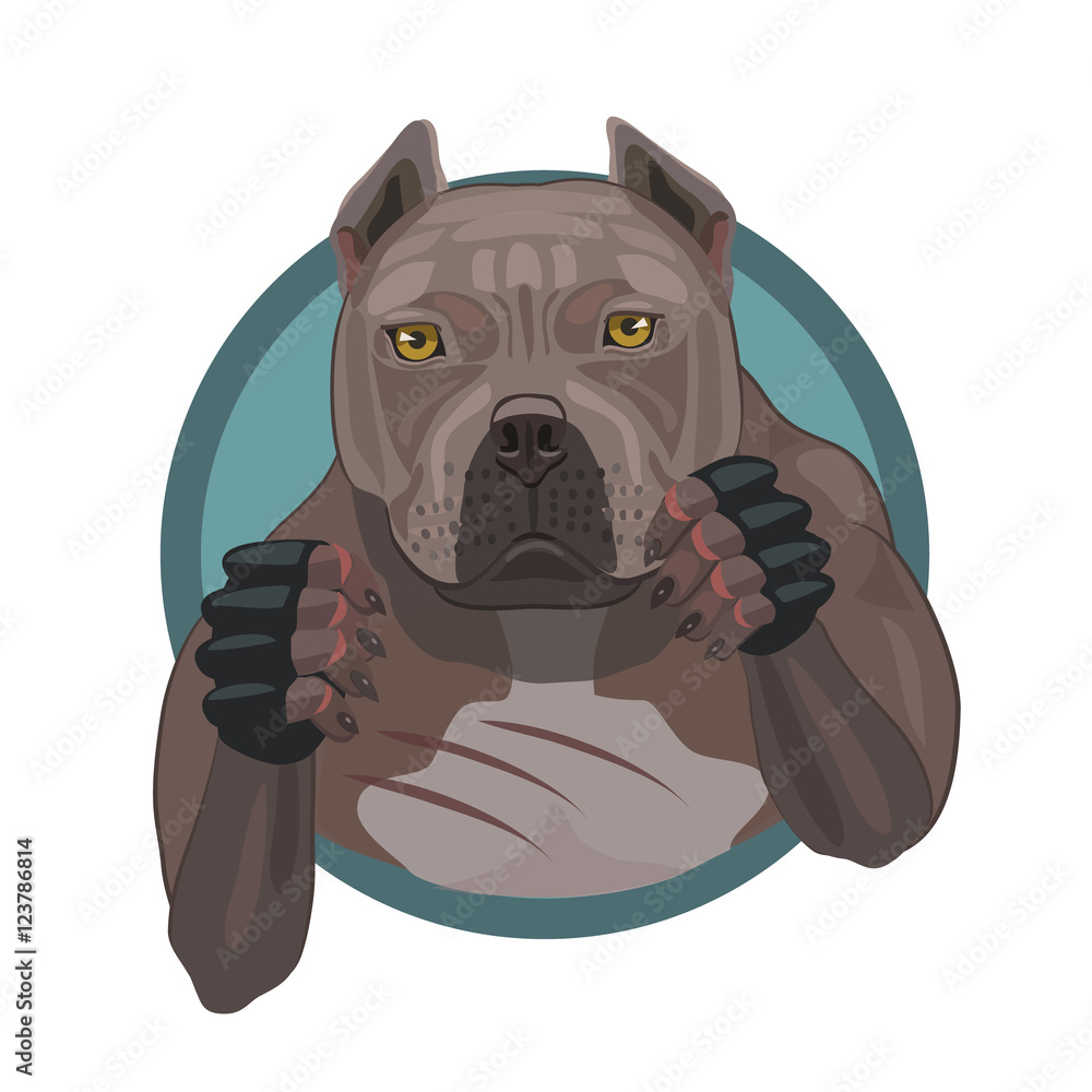 Fighting dog pit bull/ Fighting dog pit bull ready to attack and defense in  the battle arena games fist fight Stock Vector