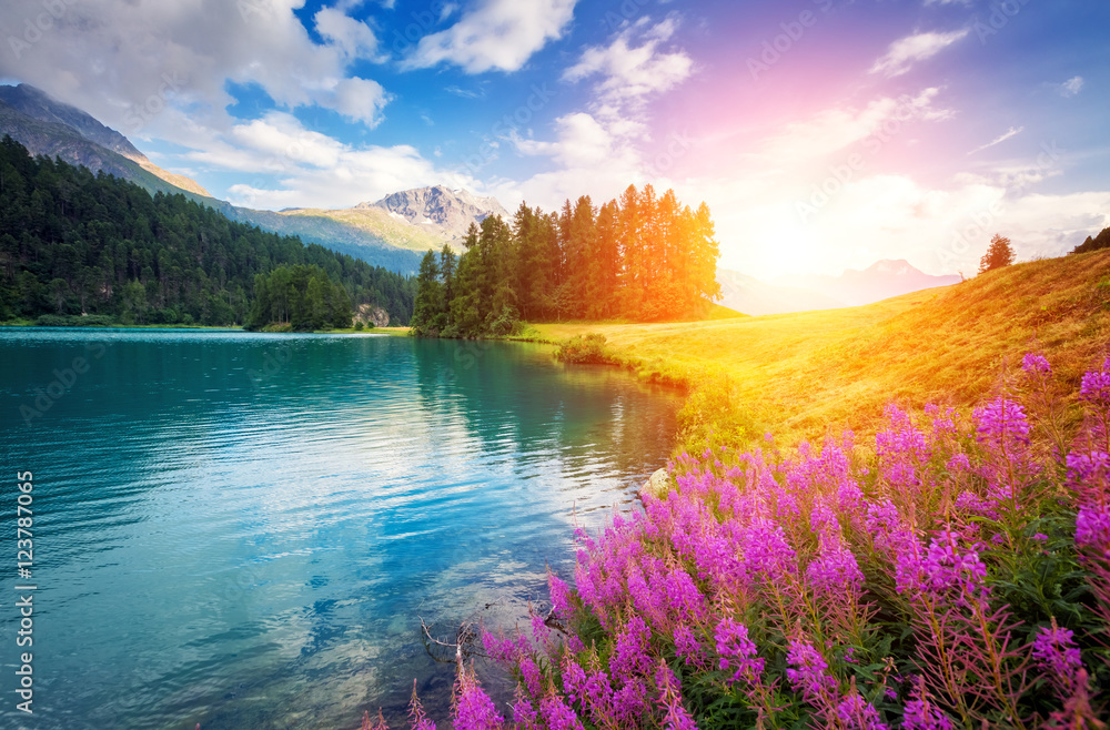 Naklejka premium beautiful alpine lake