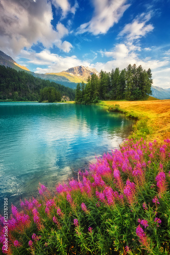 Fototapeta Naklejka Na Ścianę i Meble -  beautiful alpine lake