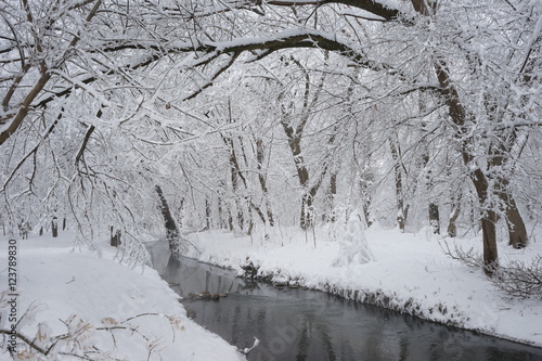 Snowing landscape in the park