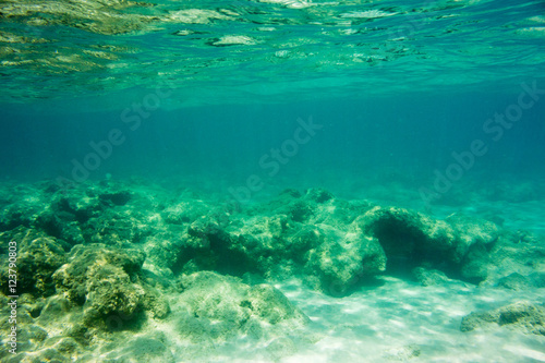 Underwater texture and fauna in Ionian sea, Zakynthos, Greece © ileana_bt