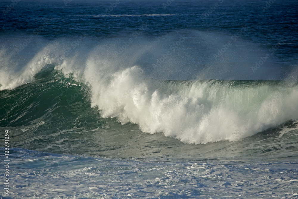 Fototapeta premium Seascape with large breaking wave and water spray.