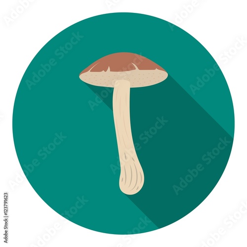 Brown cap boletus icon in flat style isolated on white background. Mushroom symbol stock vector illustration.
