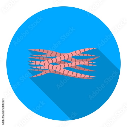 Muscle icon in flat style isolated on white background. Organs symbol stock vector illustration.
