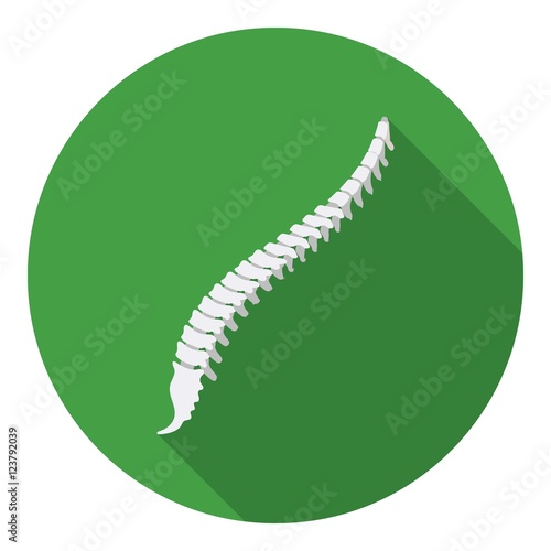 Spine icon in flat style isolated on white background. Organs symbol stock vector illustration.