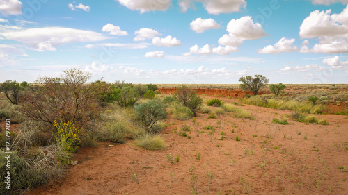Outback Landschaft in den Flinders Ranges in Australien © kentauros