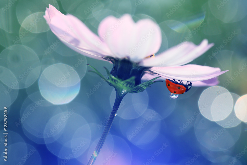 Naklejka premium Under a beautiful umbrella