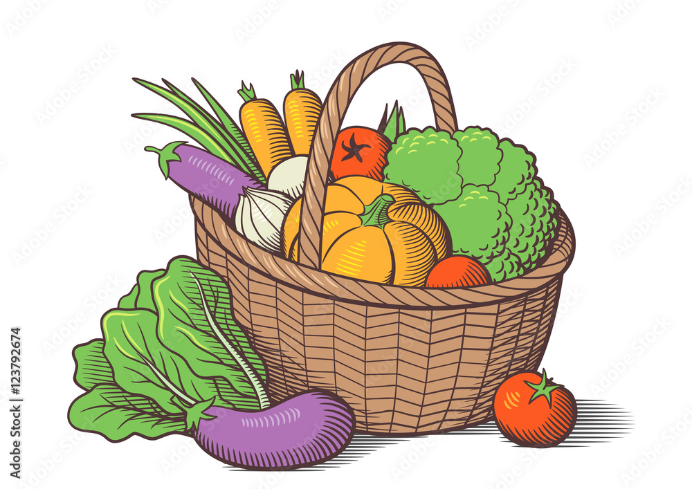Vegetables in basket. Stylized colored vector illustration. Cabbage,  pumpkin, eggplants, tomatoes, onion, carrots, broccoli, lettuce Stock  Vector | Adobe Stock