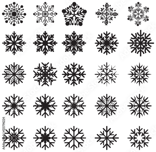 Winter snowflakes icons set in vector isolated on white backgrou