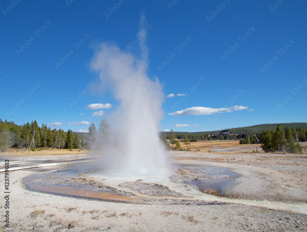 Fototapeta premium Geyser