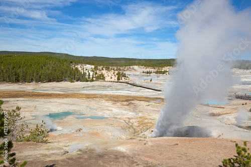 Norris geyser basin