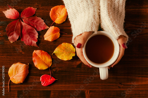 Woman hands holding teacup seen from above