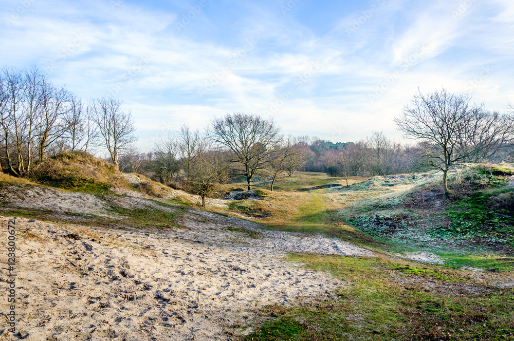 Dutch dune area on a sunny day in wintertime Dutch dune area on a sunny day in wintertime