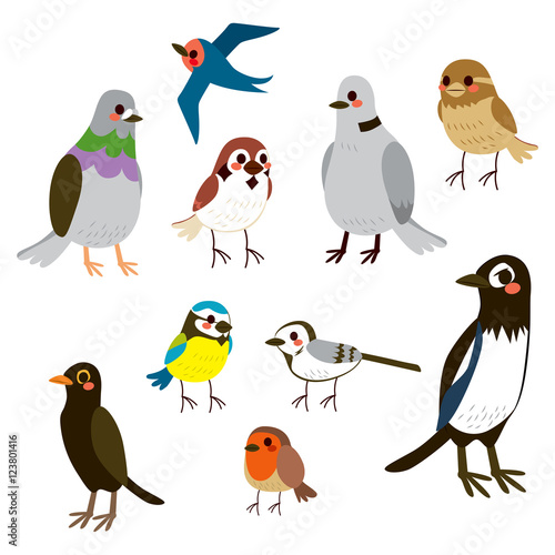 Cute bird collection set wi...