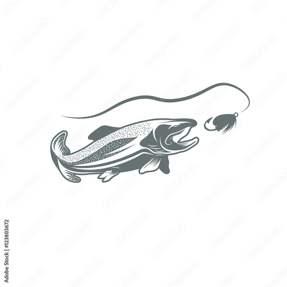 Fototapeta premium trout fish and lure vector design template