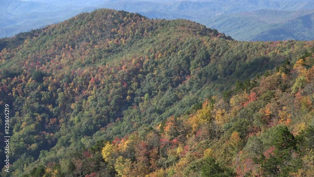 Mountain trees in the fall from Blue Ridge Parkway, NC Mountain trees in the fall from Blue Ridge Parkway, NC