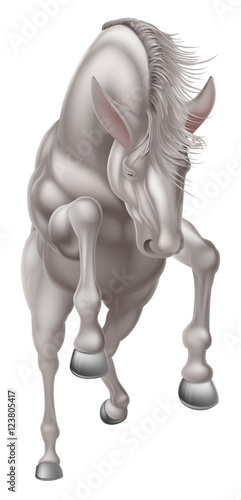 front white horse 2016 A4 [...