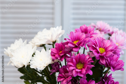 beautiful chrysanthemum in a vase in the style of Provence