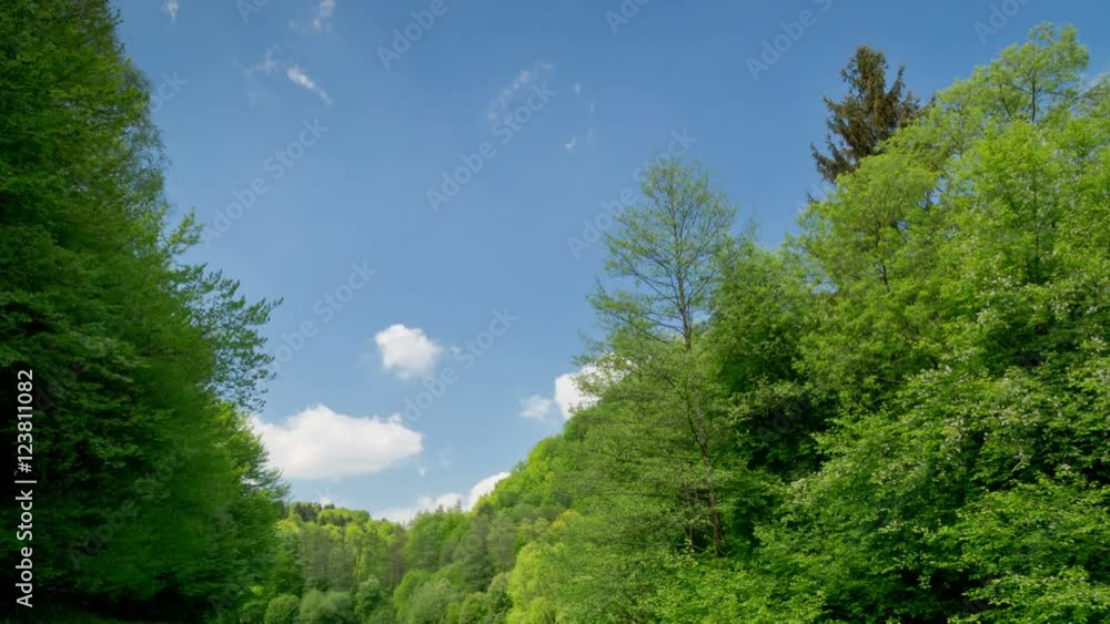 Timelapse meadow grass forest sky and passing clouds, late spring. Time-lapse dolly slider zoom. 4k UHD Timelapse meadow grass forest sky and passing clouds, late spring. Time-lapse dolly slider zoom. 4k UHD