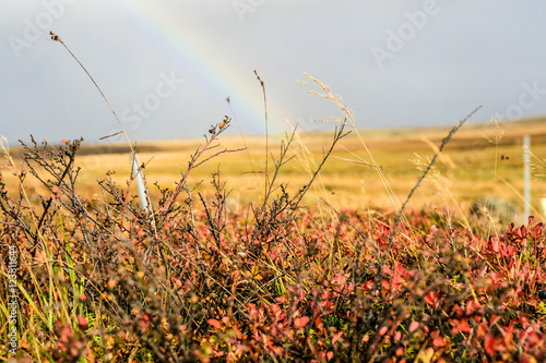 Rainbow © Tomasz