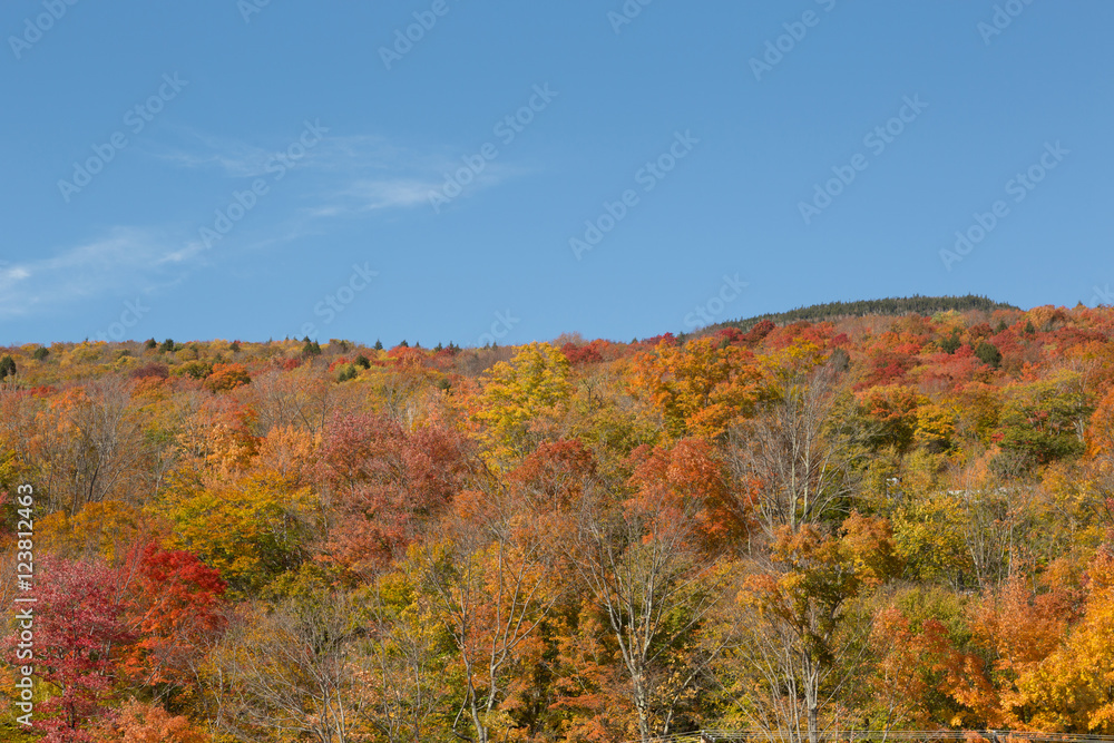 Indian Summer in New Hampshire