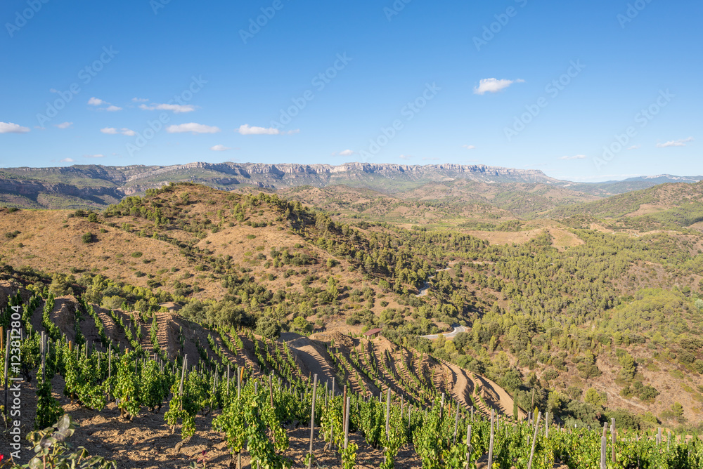 The Comarca Priorat is a famous wine-growing area where the prestigious wine of the Priorat and Montsant is produced. Wine has been cultivated here since the 12th century