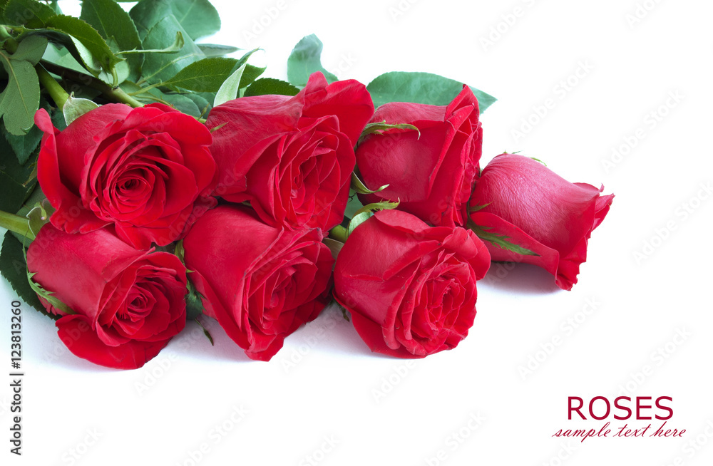 Fototapeta premium Red roses bunch isolated on white background