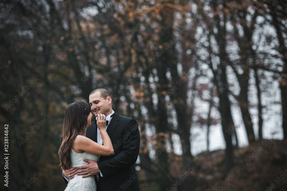 happy bride and groom posing in the autumn forest happy bride and groom posing in the autumn forest