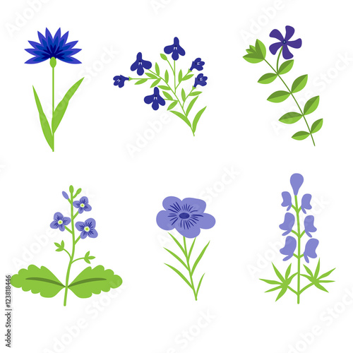 Flowers isolated set