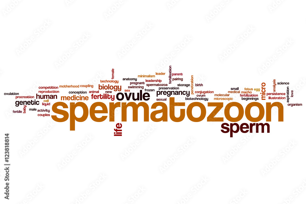 Spermatozoon word cloud Spermatozoon word cloud