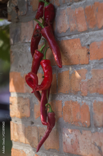 Red peppers hanging near the brick wall