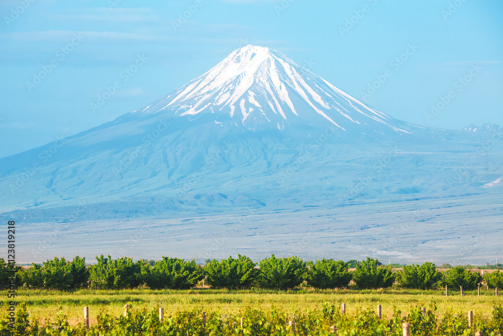 Ararat mountain and field