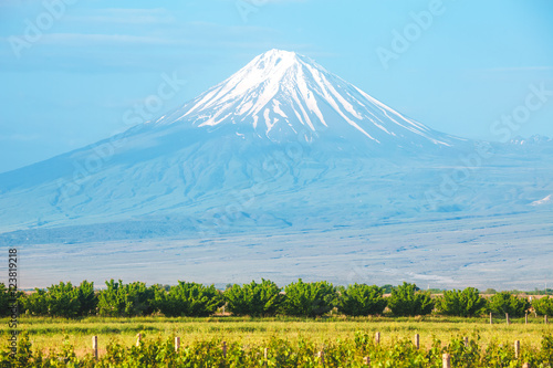 Ararat mountain and field