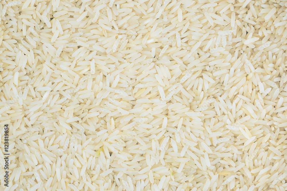 close up of a rice for background close up of a rice for background