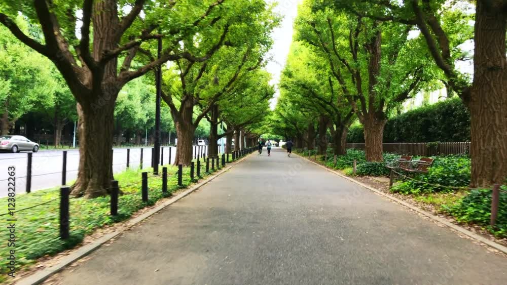 4K video of street in Tokyo Japan
4K video of street in Tokyo Japan