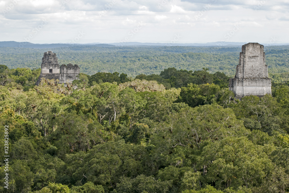 Mayan pyramids above the jungle canopy