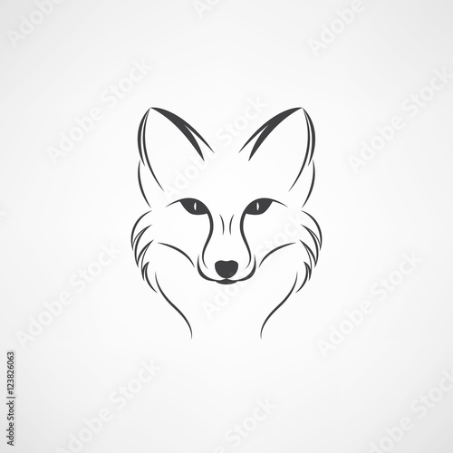 Vector image of a fox design on a white background