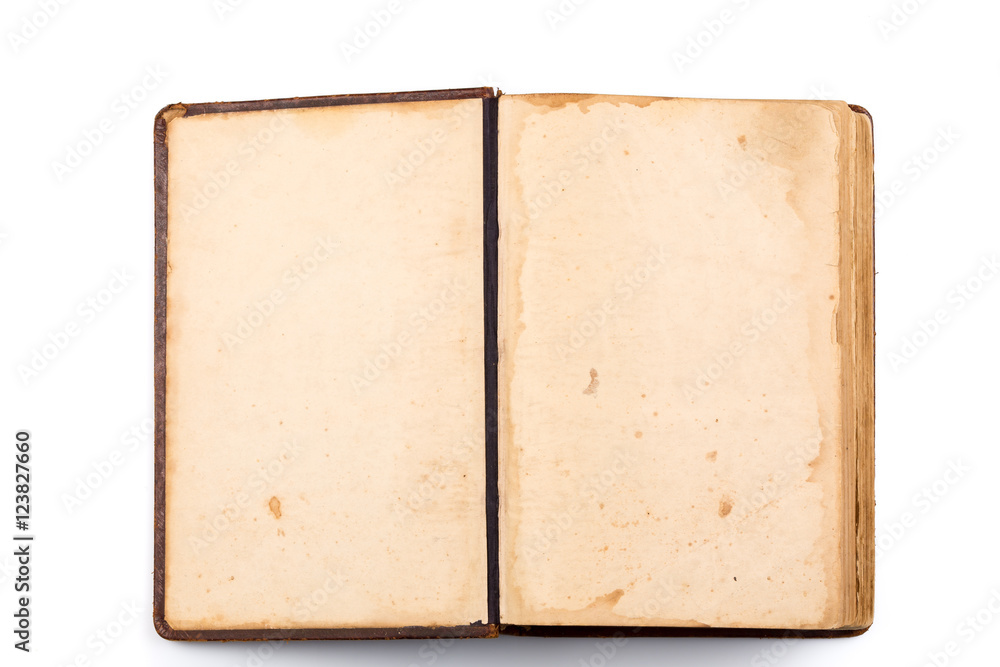 Fototapeta premium Open Book blank on white
