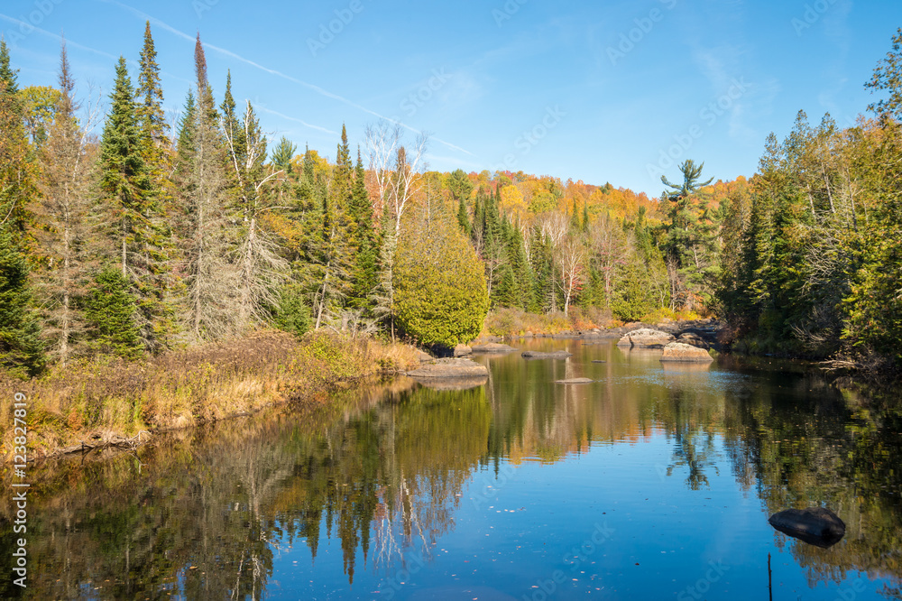 Autumn colors in Quebec, Canada (Doncaster Park)