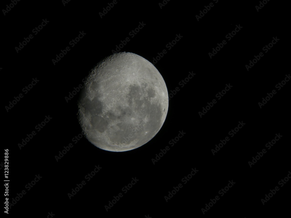 Fototapeta premium The Moon
