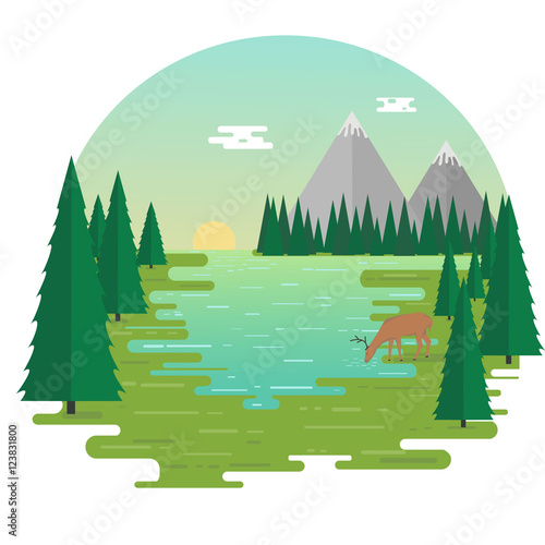 Flat nature illustration. Vector