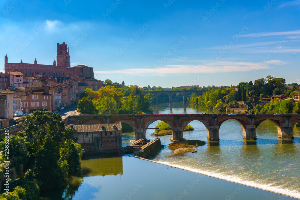 Obraz premium Albi in Southwestern France. Albi is a world heritage UNESCO site. Albi is famous for Toulouse-Lautrec and the Cathedral Saint Cecile. View of the Tarn River and the Cathedral Saint Cecile.